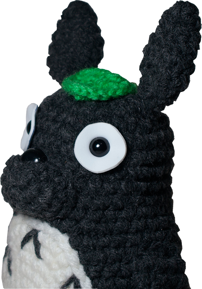 totoro